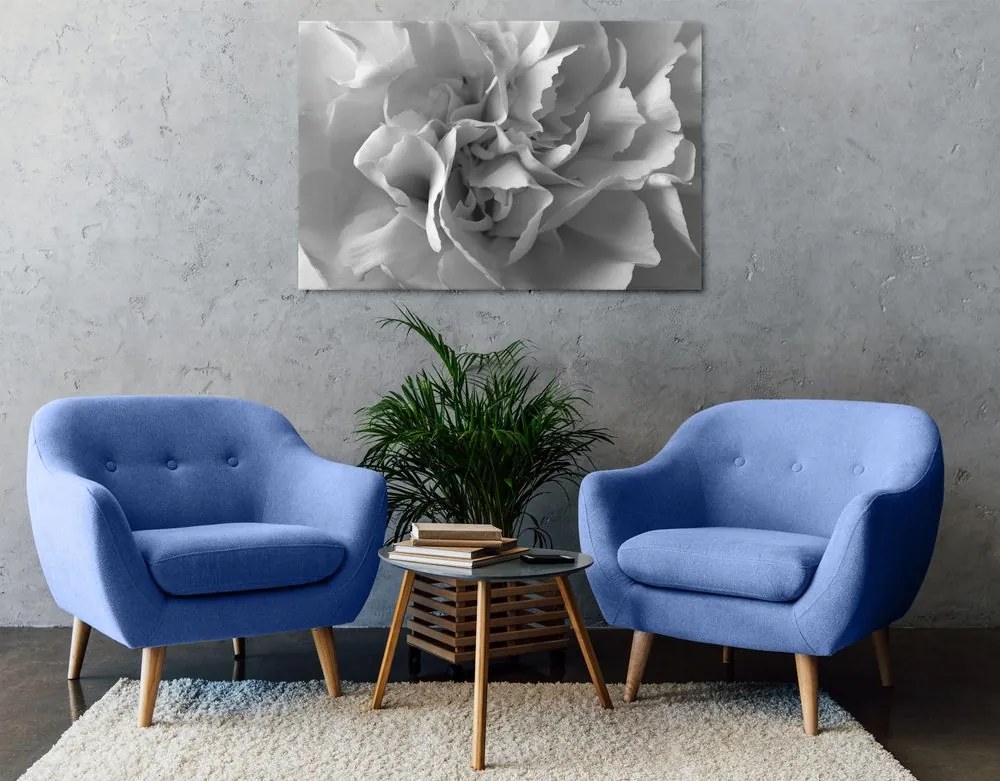Stampa su tela – Petali di garofano in bianco e nero