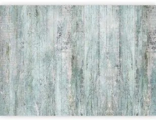 Carta da parati - Rustic Textures - First Variant Premium 450x315