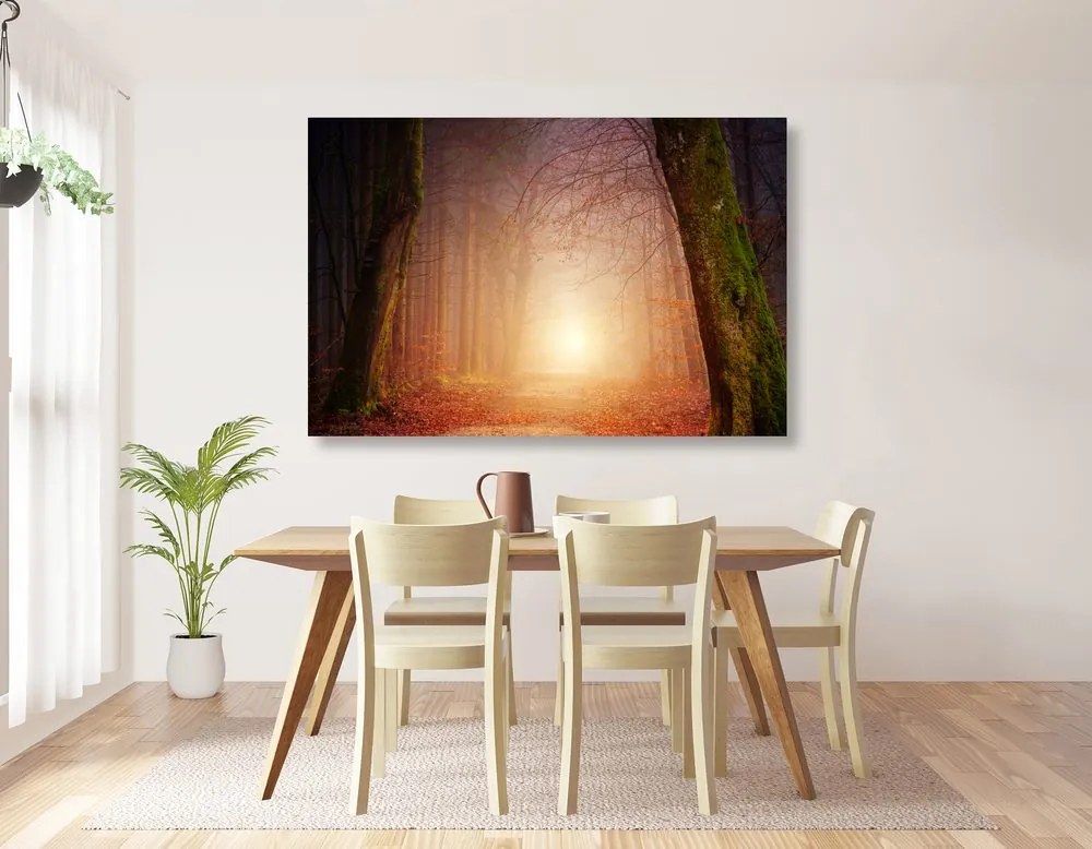Quadro su tela – Foresta in colori fiabeschi