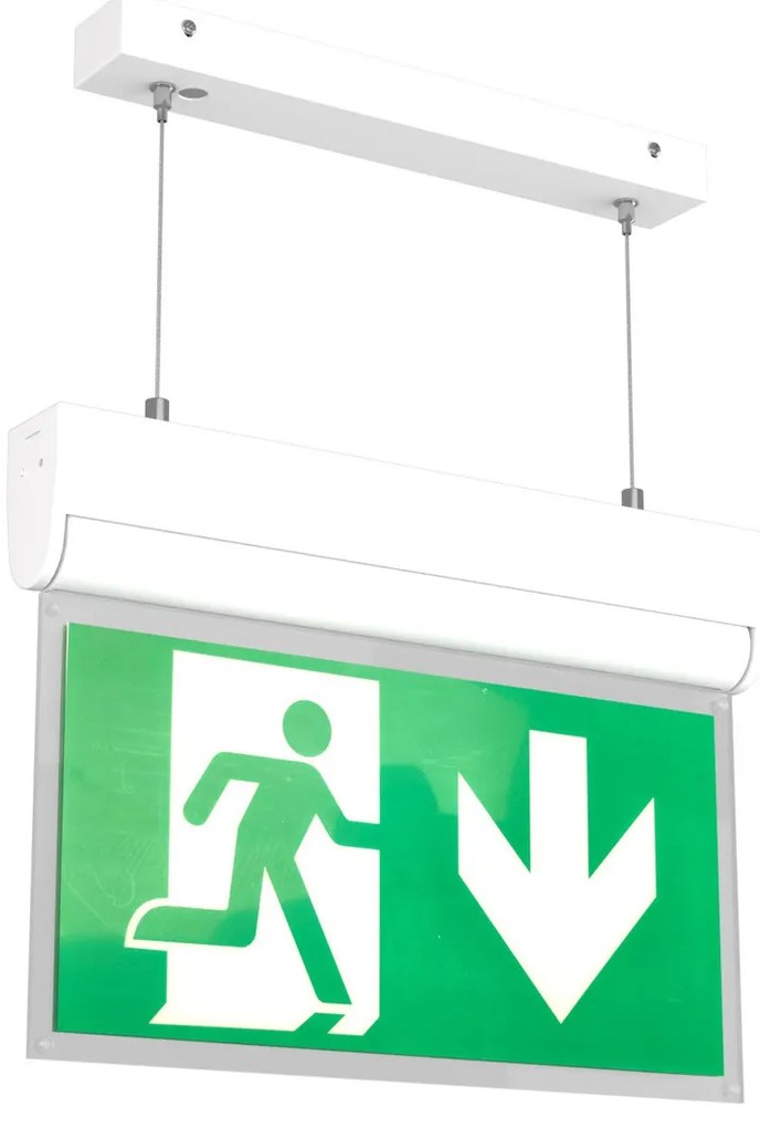 Lampada Emergenza a Sospensione 3h S.E S.A Cinema Mode - Bianca o nera Colore Bianco Freddo 6.000K