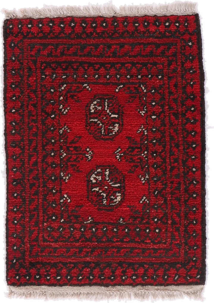 Afghan Tappeto 50 x 70 (Afghanistan) Annodato A Mano