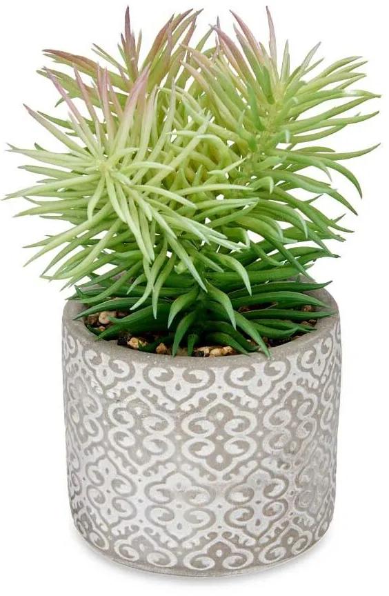 Pianta Decorativa Succulenta Legno Plastica 12 x 22 x 12 cm (8 Unità)