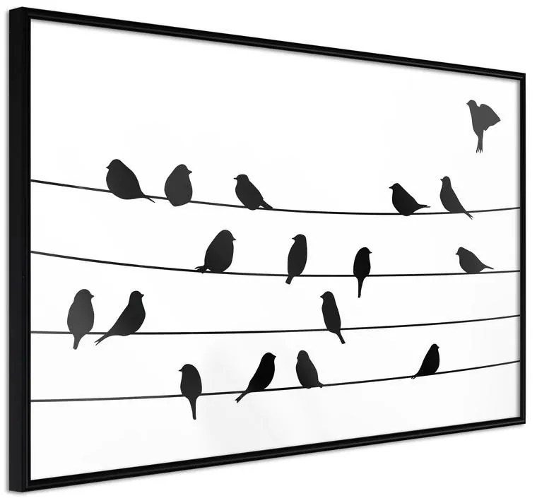 Poster  Birds Council Meeting  Cornice Quadri Cornice nera, Larghezza x Altezza Home decor 30x20