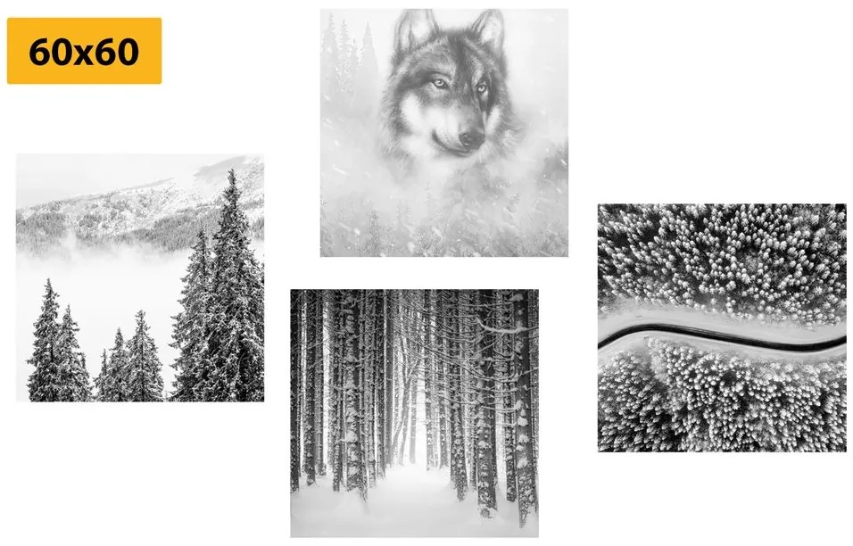 Set di quadri – Lupo nel bosco misterioso in bianco e nero