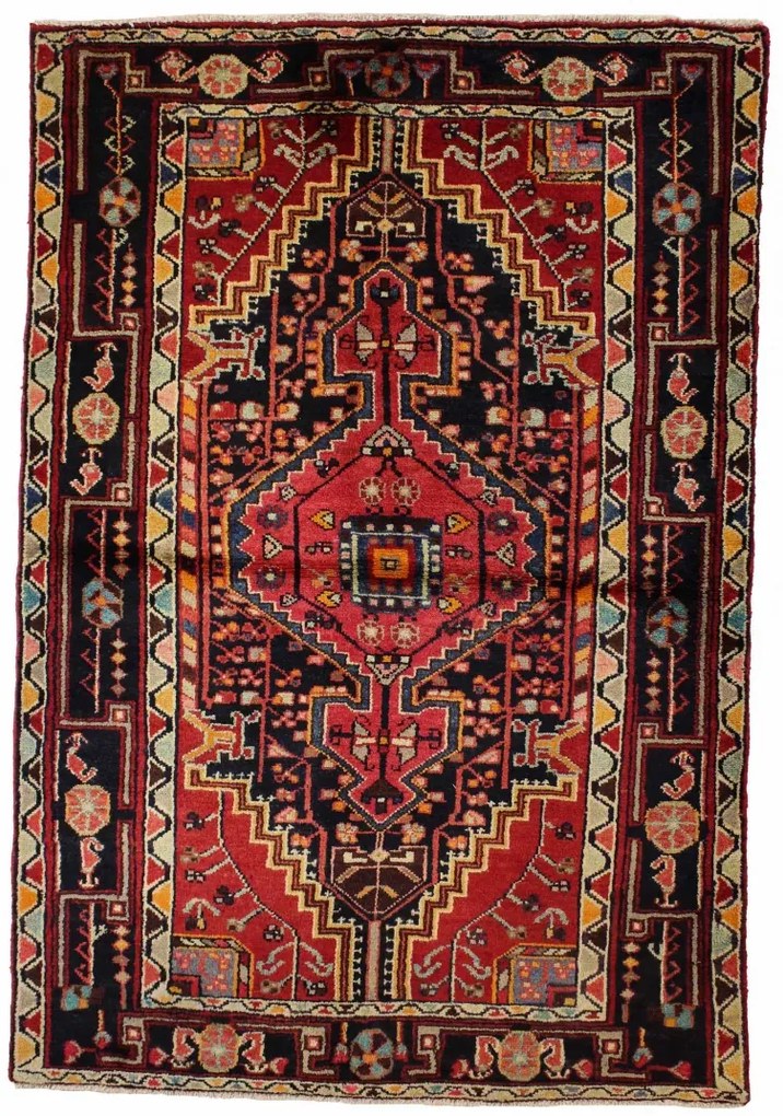 Hamedan Tappeto 170 x 120 (Iran)