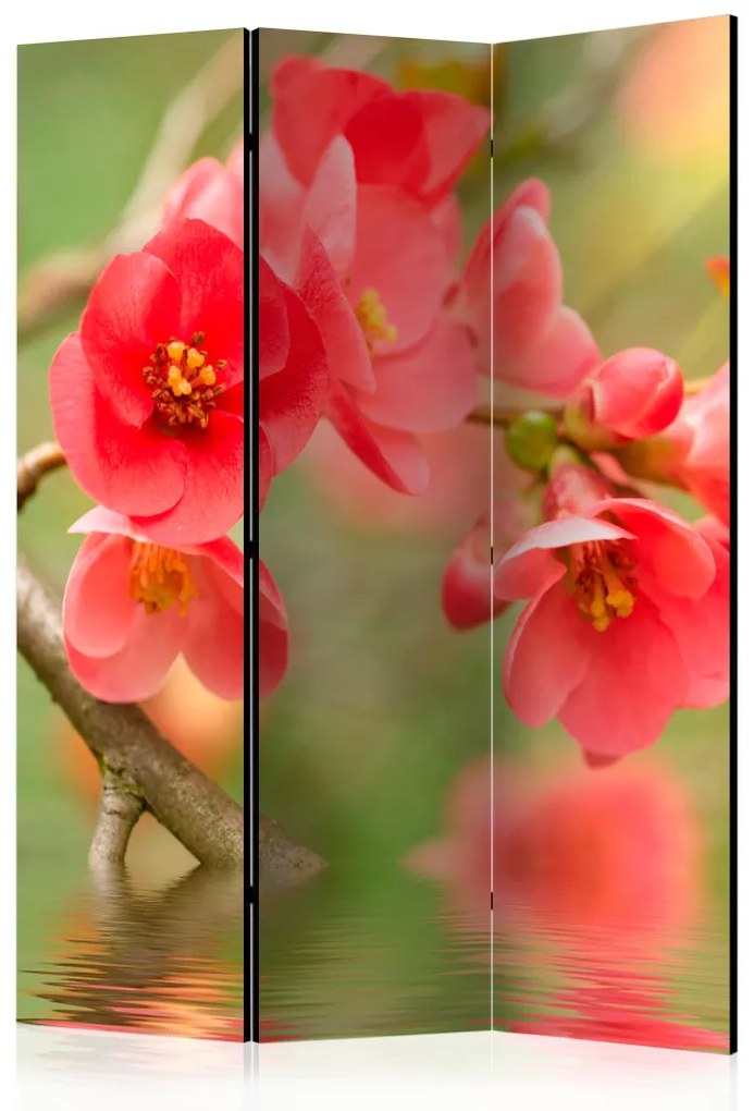 Paravento separè Azalea Riflessa nell'Acqua - Composizione rossa di fiori sopra l'acqua