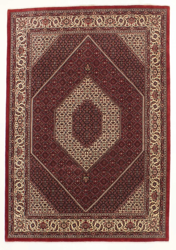 Bidjar Tappeto persiano 300x210 (Iran) Annodato A Mano