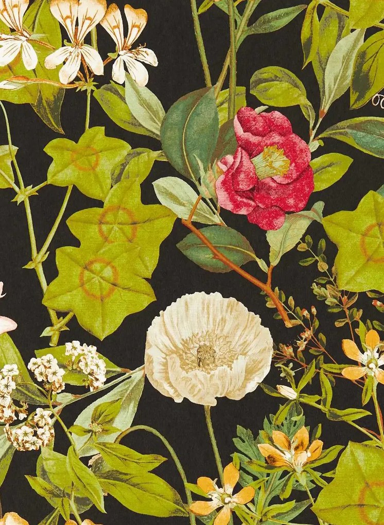 Clarke & Clarke Carta da parati Passiflora - Noir