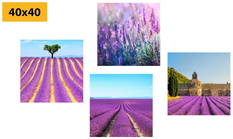 Set di quadri – Campo di lavanda
