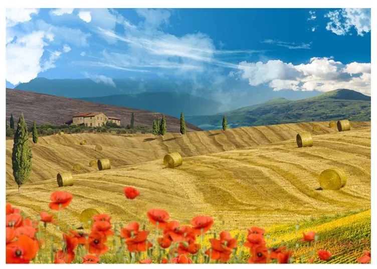 Fotomurale Paesaggio autunnale