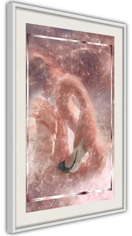 Poster  Stellar Bird  Cornice Quadri Cornice nera con pass-partout, Larghezza x Altezza Home decor 20x30