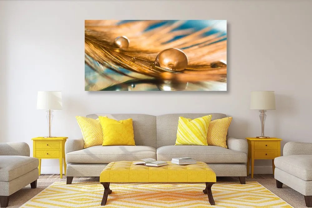 Quadro su tela – Goccia d'acqua su piuma dorata
