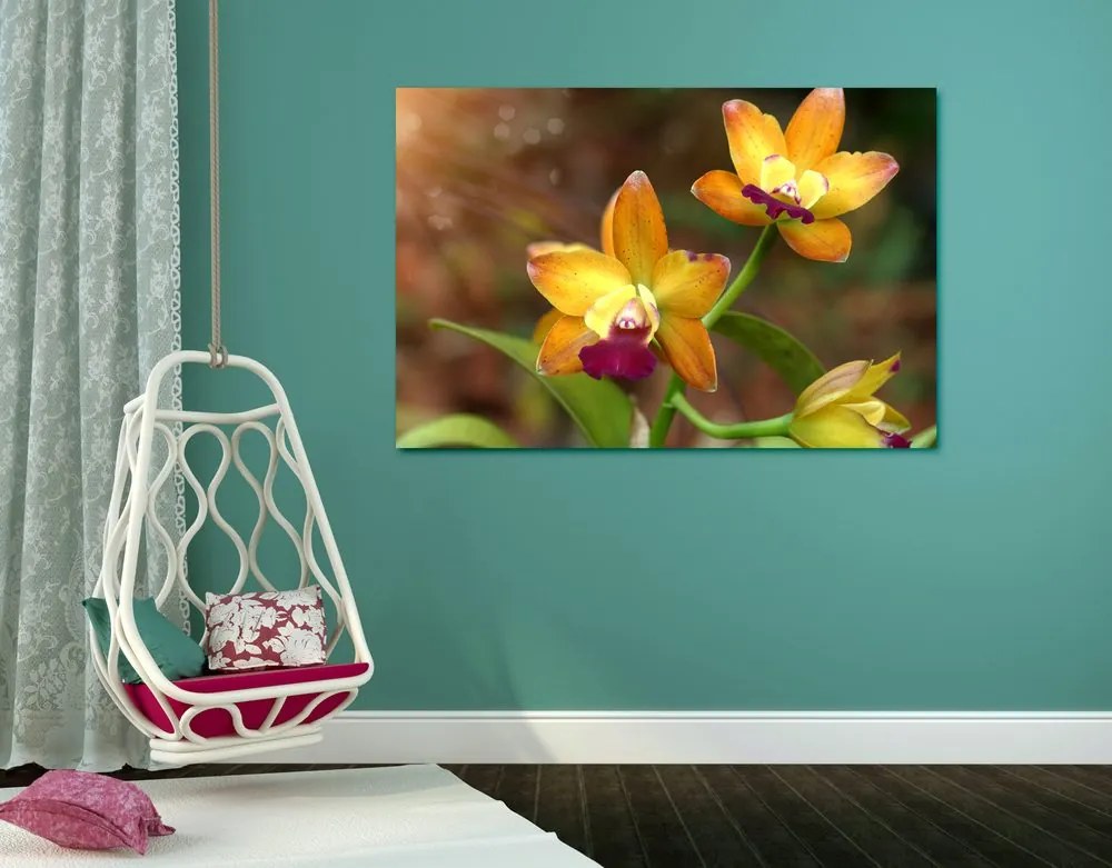 Stampa su tela – Orchidea arancione