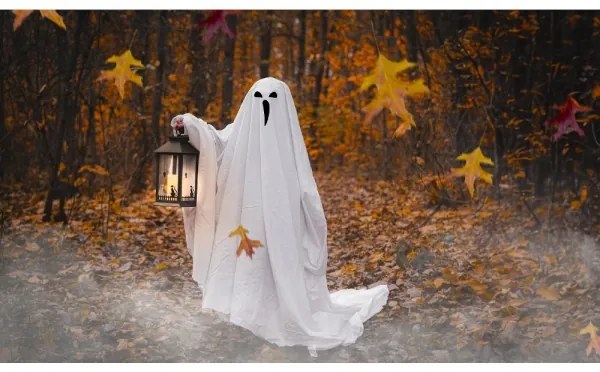 Retlux - LED Decorazione HALLOWEEN LED/3xAAA/bianco caldo lanterna