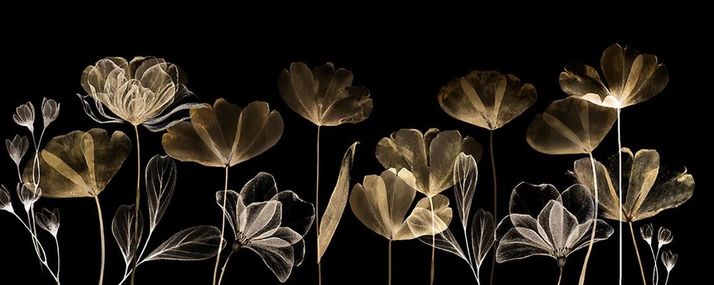 Stampa su tela Gold flowers, multicolore 60 x 150 cm