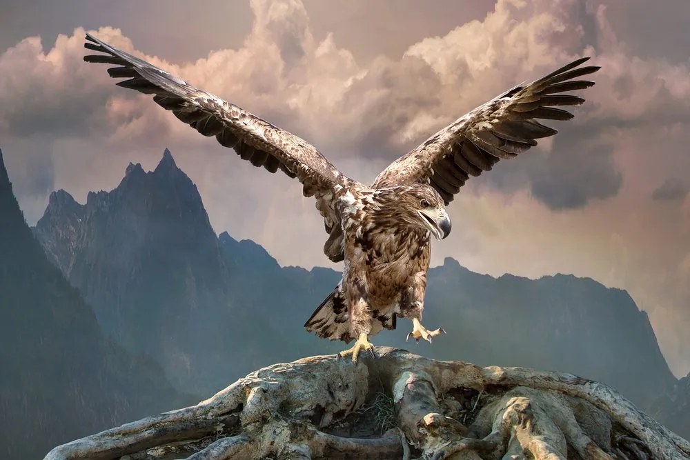 Stampa su tela – Aquila con ali spiegate sopra le montagne