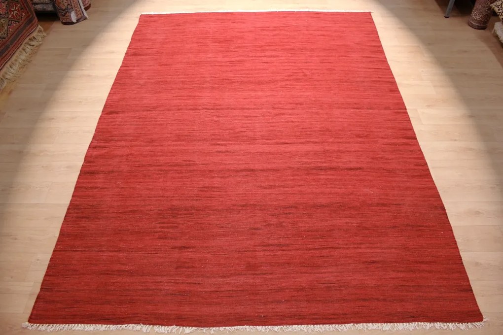 Tappeto orientale 350 x 250 (Indian) Tessuto A Mano