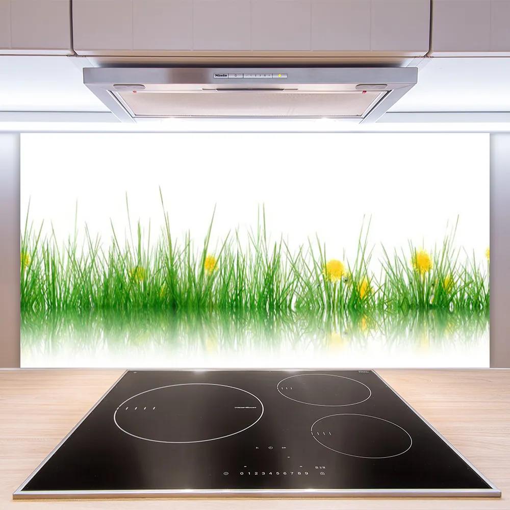 Pannello paraschizzi cucina Fiori di erba della natura 100x50 cm