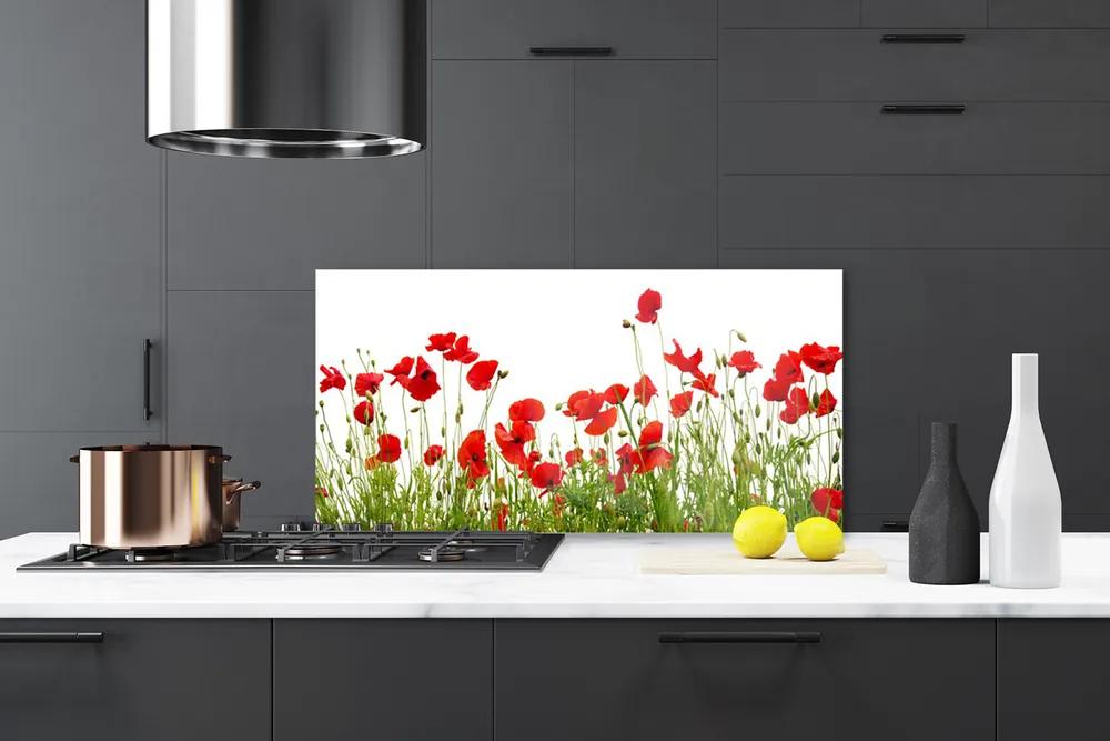 Pannello cucina paraschizzi Prato, papaveri, fiori, natura 100x50 cm
