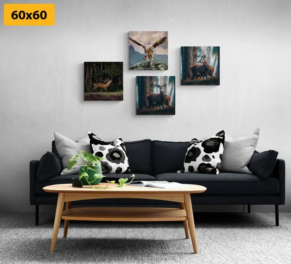 Set di quadri – Bellezza degli animali del bosco