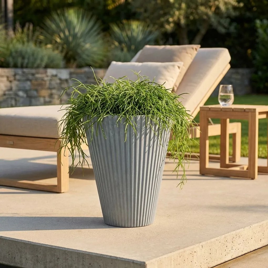 MERCEDES - vaso medio