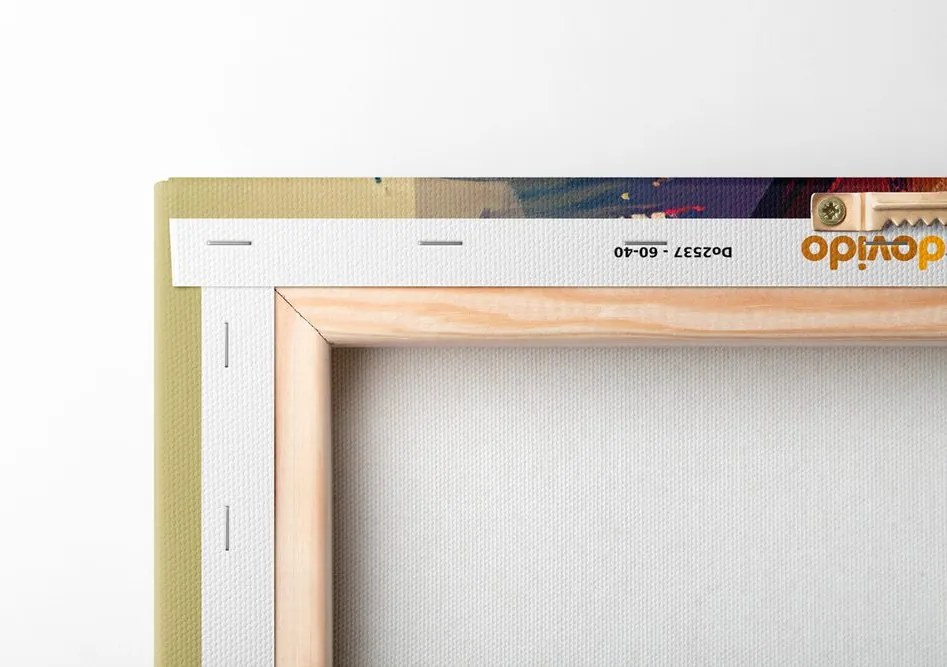 Stampa su tela – Fascino della donna in design patchwork