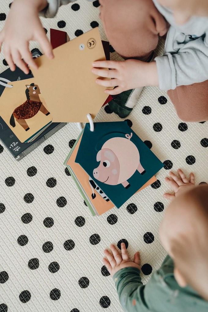 Schede Tattili Della Fattoria