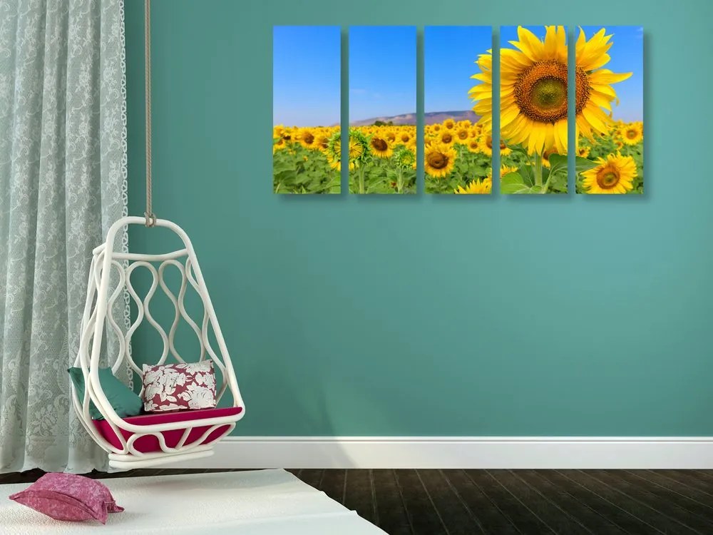 Quadri 5 pezzi – Campo di girasoli