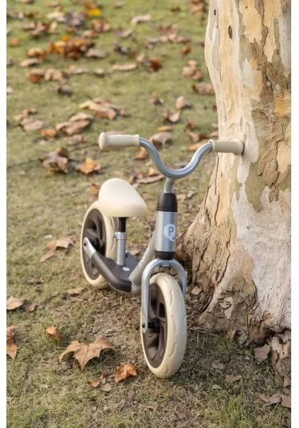 QPlay - Bicicletta senza pedali TRAINER argento