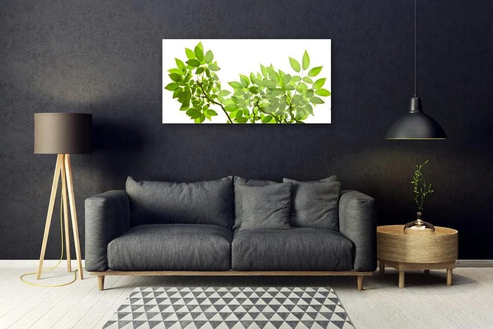Quadro acrilico Ramo di piante naturali Foglie 100x50 cm