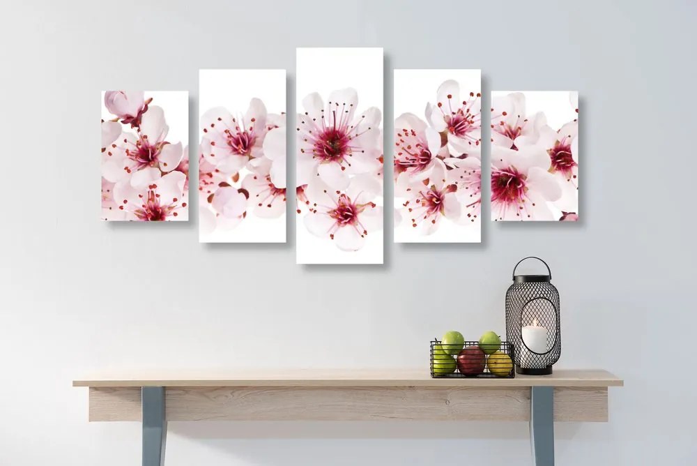 Quadri 5 pezzi – Fiori di ciliegio