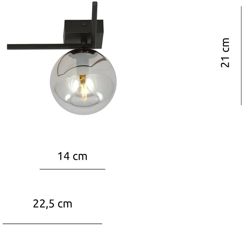 Plafoniera Moderna 1 Luce Imago 1130/1G In Acciaio Nero Vetro Fumè