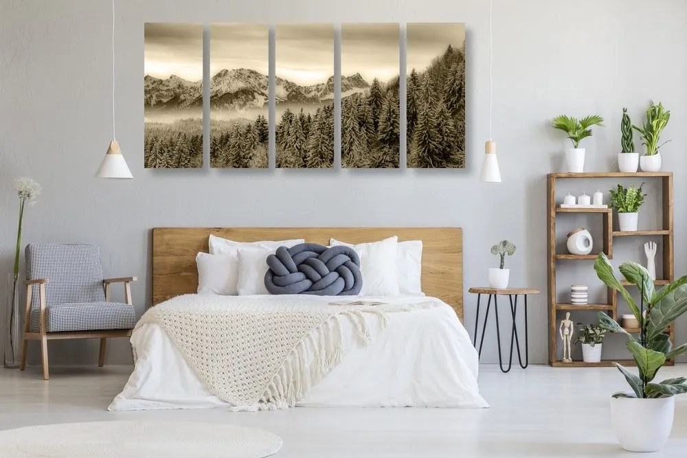 Quadri 5 pezzi – Montagne congelate in versione seppia
