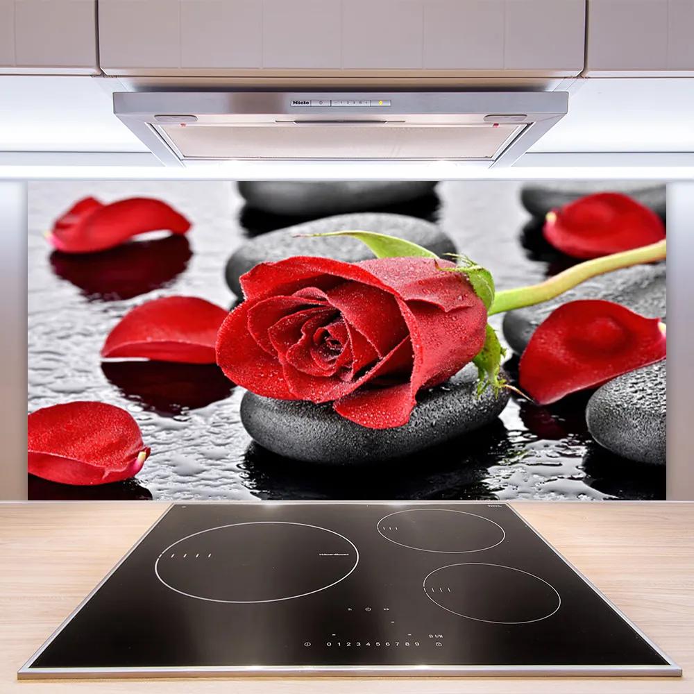 Pannello cucina paraschizzi Fiore di rosa rossa 100x50 cm