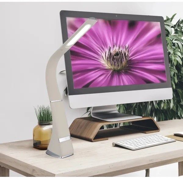 Globo 58337B - Lampada da tavolo a LED ricaricabile con dimmer touch SOPHIE LED/5W/5V 2200 mAh