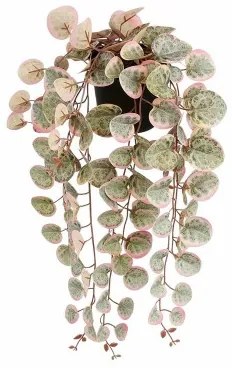 Pianta Decorativa Mica Decorations Ceropegia Woodii 10 x 46 x 12 cm Artificiale Riattaccare