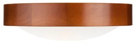 Lampada da soffitto 1xE27/60W/230V