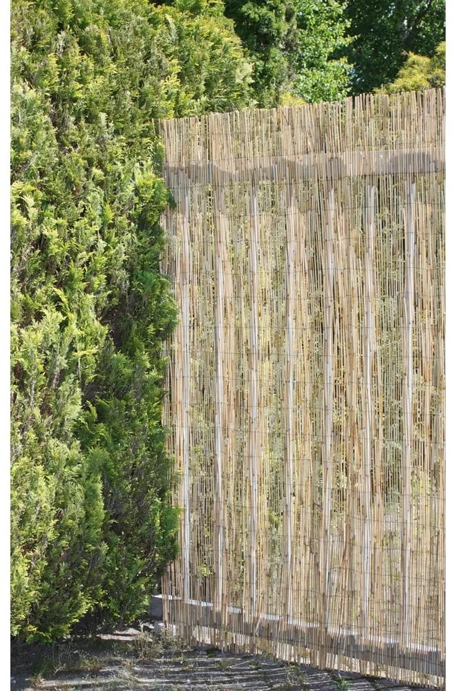 Tappetino frangivista in salice colore naturale 300x200 cm - Garden Pleasure