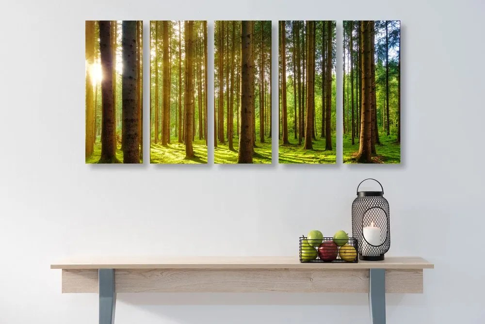 Quadri 5 pezzi – Mattina nella foresta