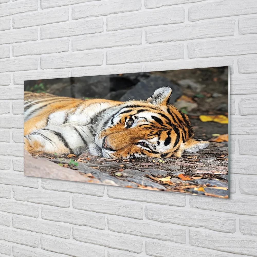 Rivestimento parete cucina Tigre bugiarda 100x50 cm