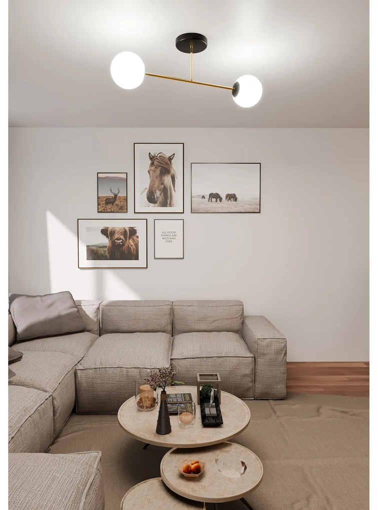 Plafoniera Moderna Magnium 2 Luci In Acciao Nero Oro E Sfere In Vetro Bianco