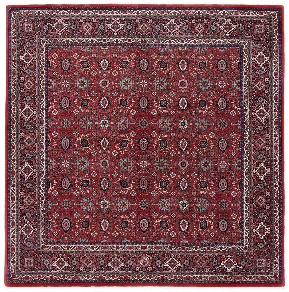 Bidjar Tappeto persiano 210x210 (Iran) Annodato A Mano