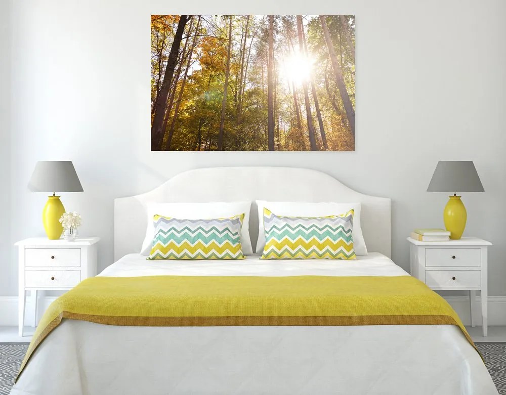 Quadro su tela – Foresta nei colori autunnali