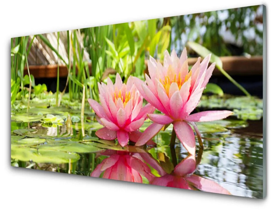 Quadro in vetro Fiori Pianta naturale 100x50 cm