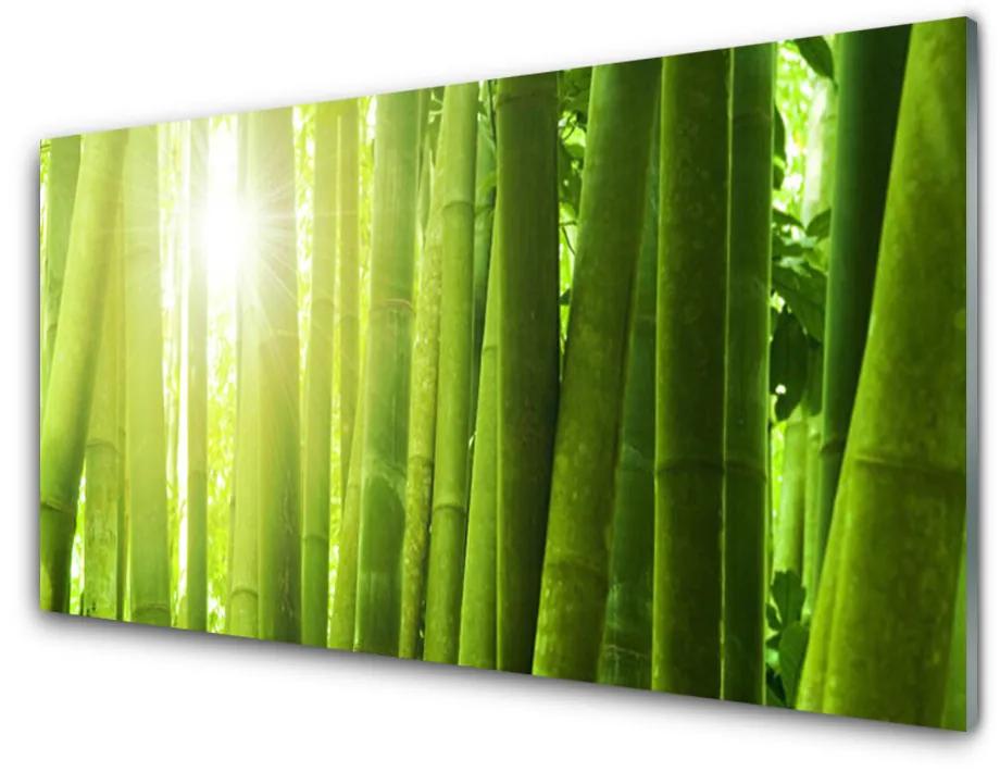 Quadro vetro Pianta di bambù 100x50 cm