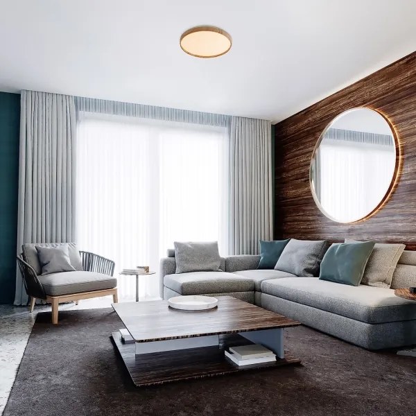 Rabalux 71144 - Plafoniera LED LEANA LED/24W/230V 3000K diametro 38 cm