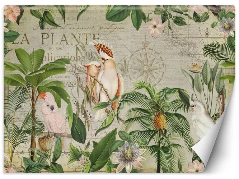 Carta Da Parati, Foglie tropicali Pappagallo  Dimensioni 300x210, Finitura Carta da Parati Effetto Liscio, Tipo di Carta da Parati