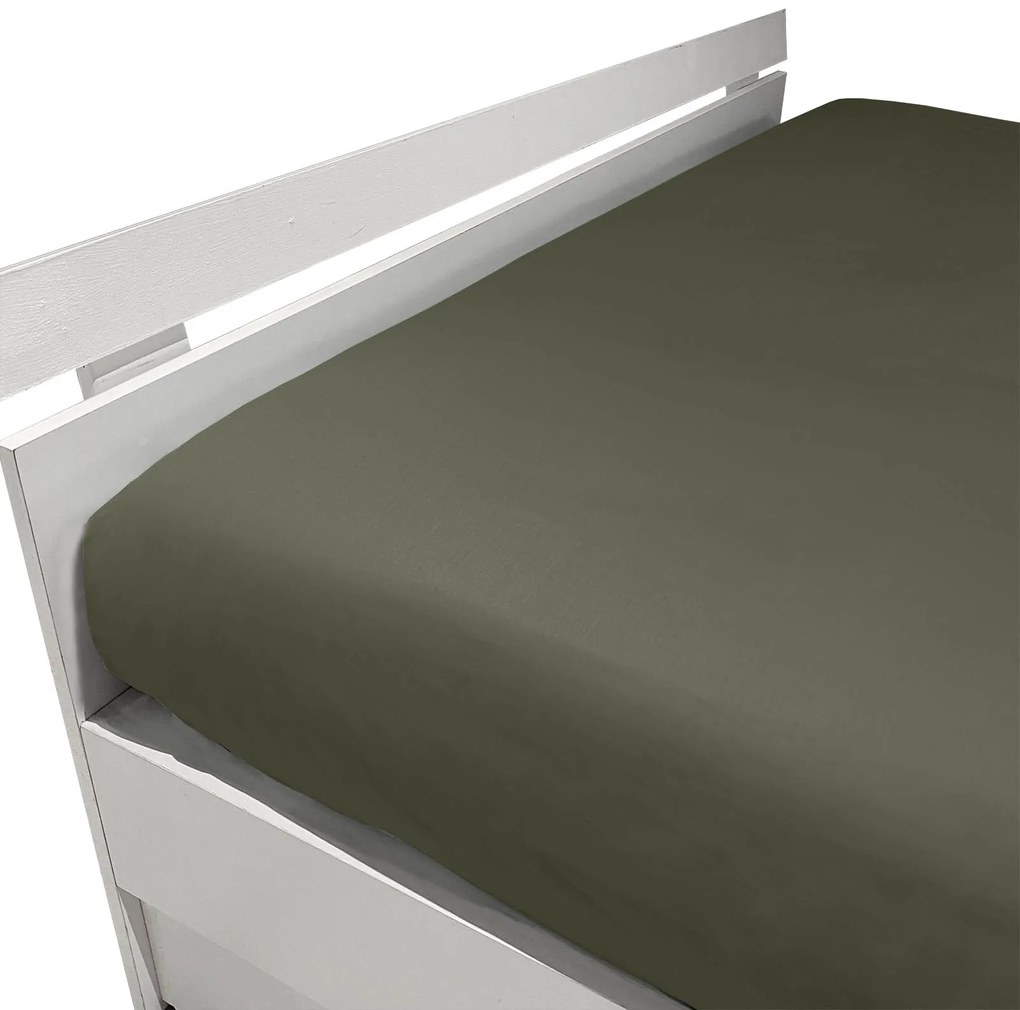 Lenzuolo Inferiore in Percalle Luisiana Louisiana 175X205+30