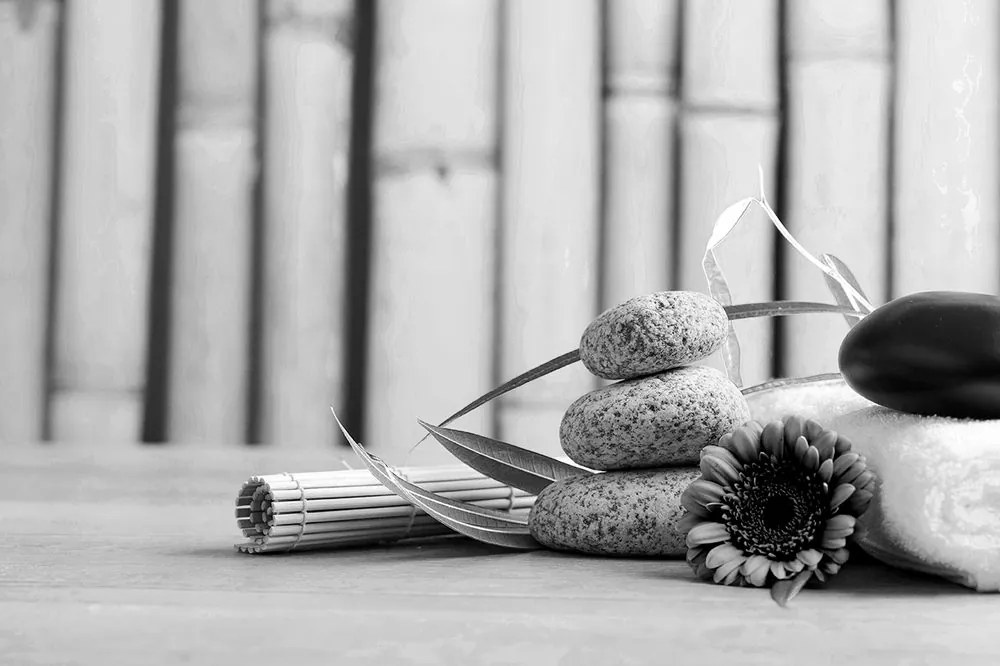Carta da parati – Natura morta wellness in bianco e nero