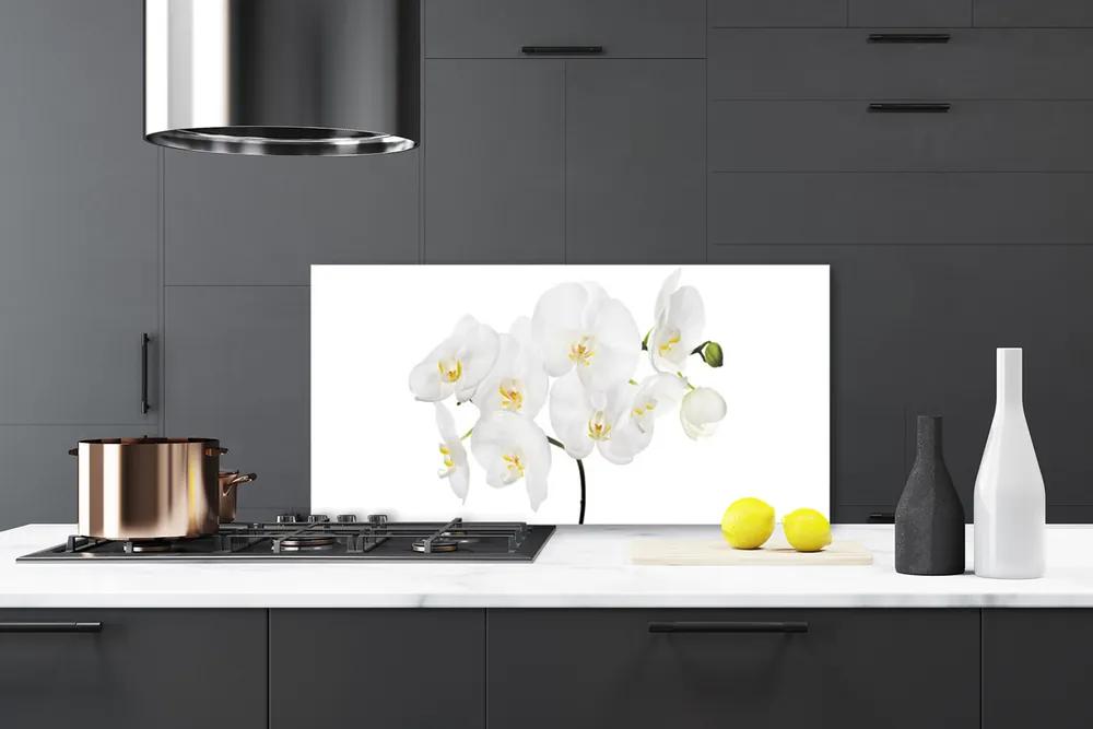 Rivestimento parete cucina Fiori di orchidea bianchi 100x50 cm